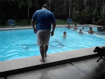Funniest gif ever, funny gifs, humor gifs For more hilarious