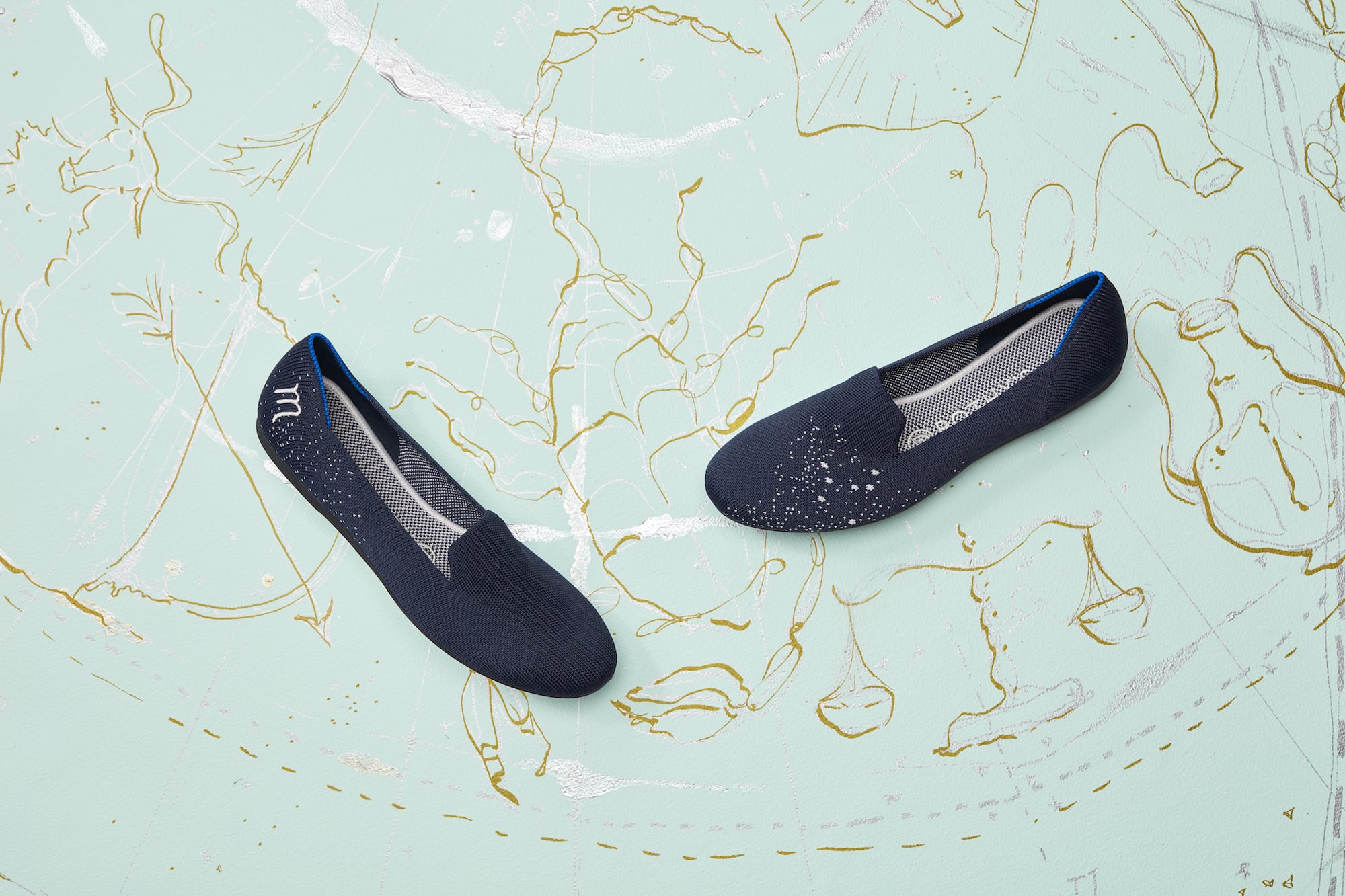 Rothys shop zodiac flats