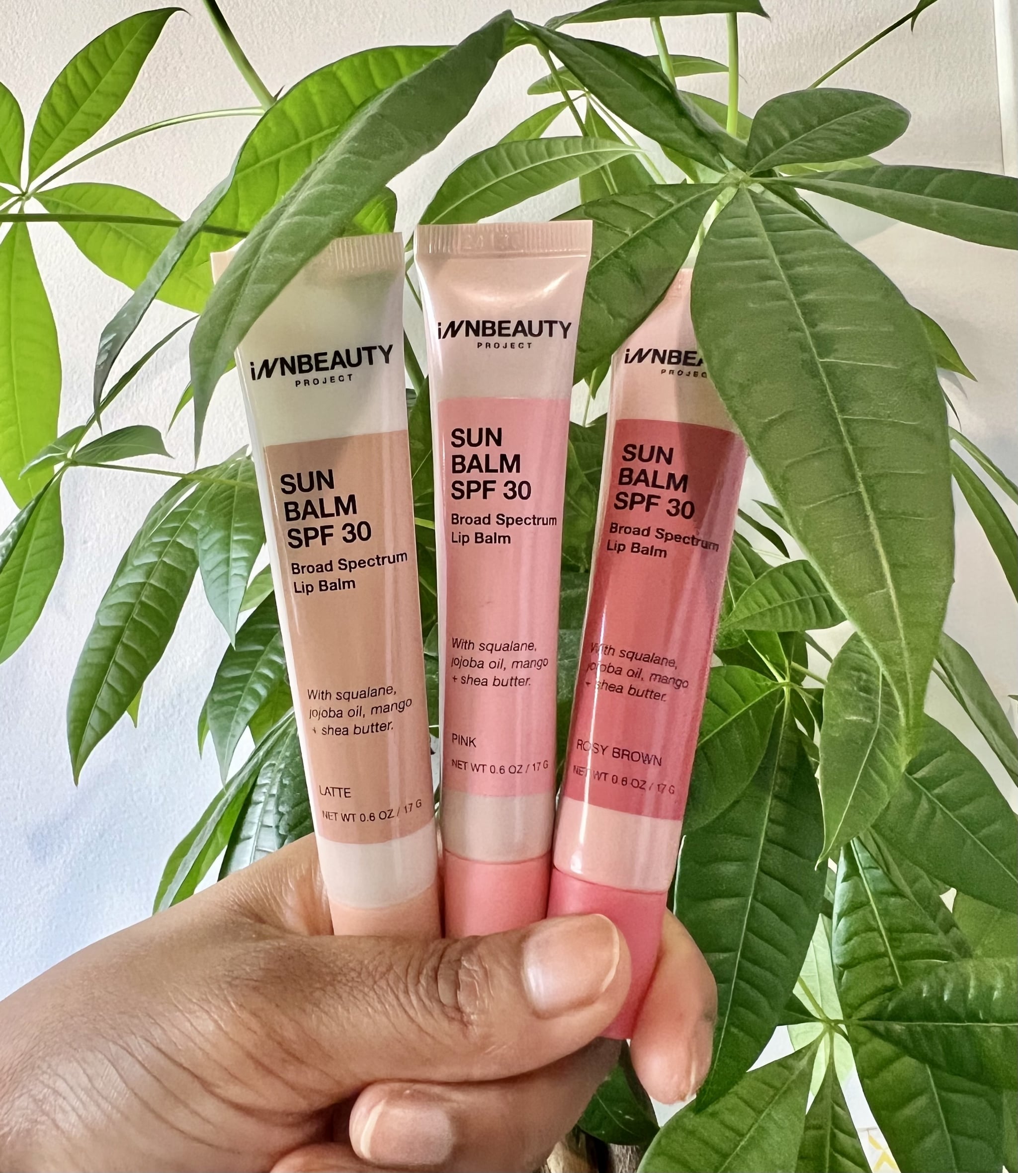 The Innbeauty Project Sun Balm SPF 30 in  Pink (sheer baby pink), Latte (sheer milky chocolate brown), and Rosy Brown (sheer pink mauve).