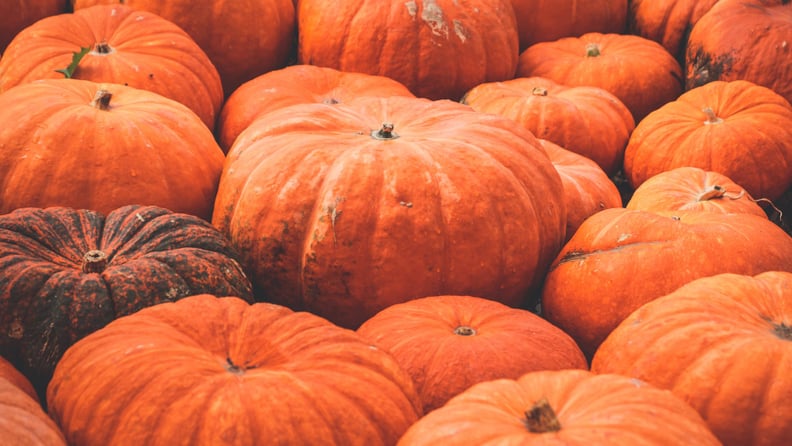 The Smell of Pumpkin