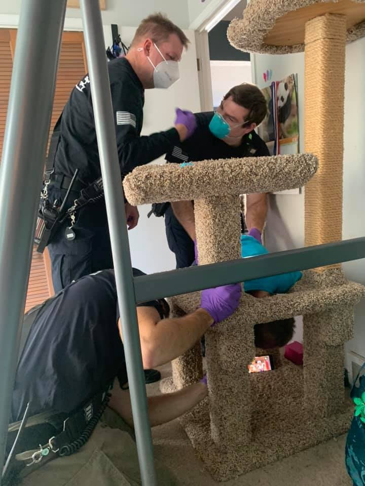 Boy Who Got His Head Stuck in a Cat Tree Funny Photos POPSUGAR