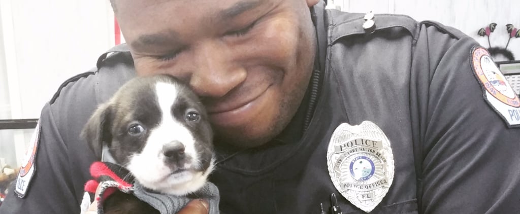 Florida Police Officer Rescues Puppy