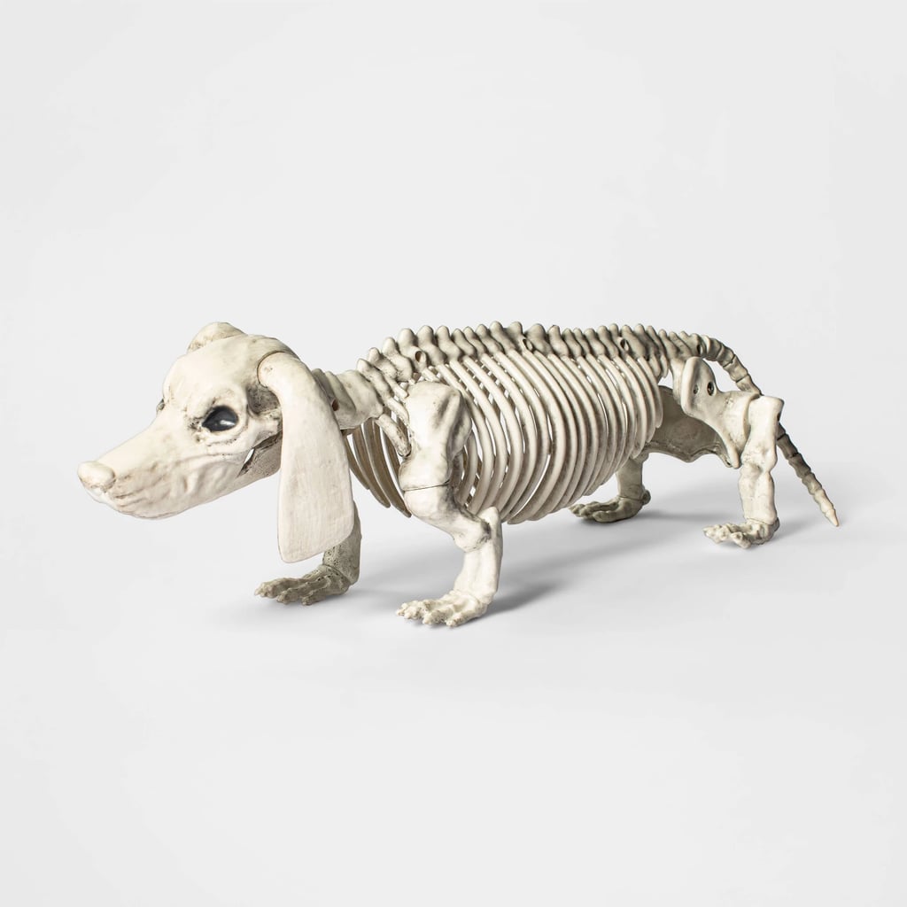 Medium Dachshund Skeleton Best Target Outdoor Halloween Decorations