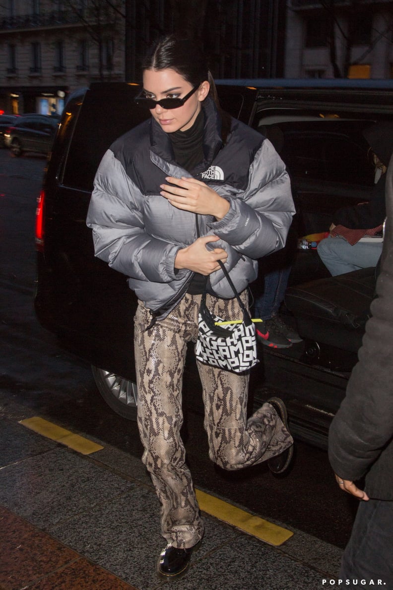 Kendall Jenner North Face Coat 2019 POPSUGAR Fashion