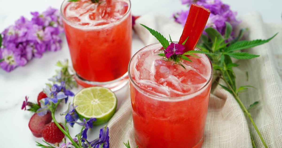 Raspberry Rhubarb CBD Spritz Recipe | POPSUGAR Fitness