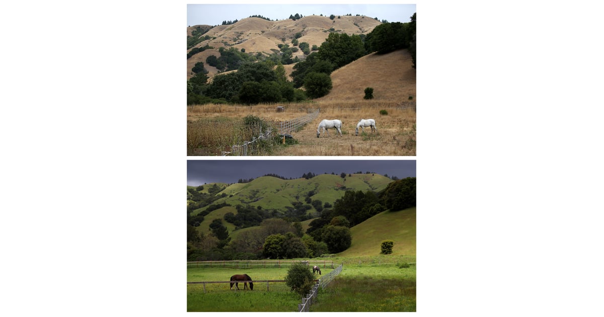 A field in Woodacre, CA. Before and After Photos of California