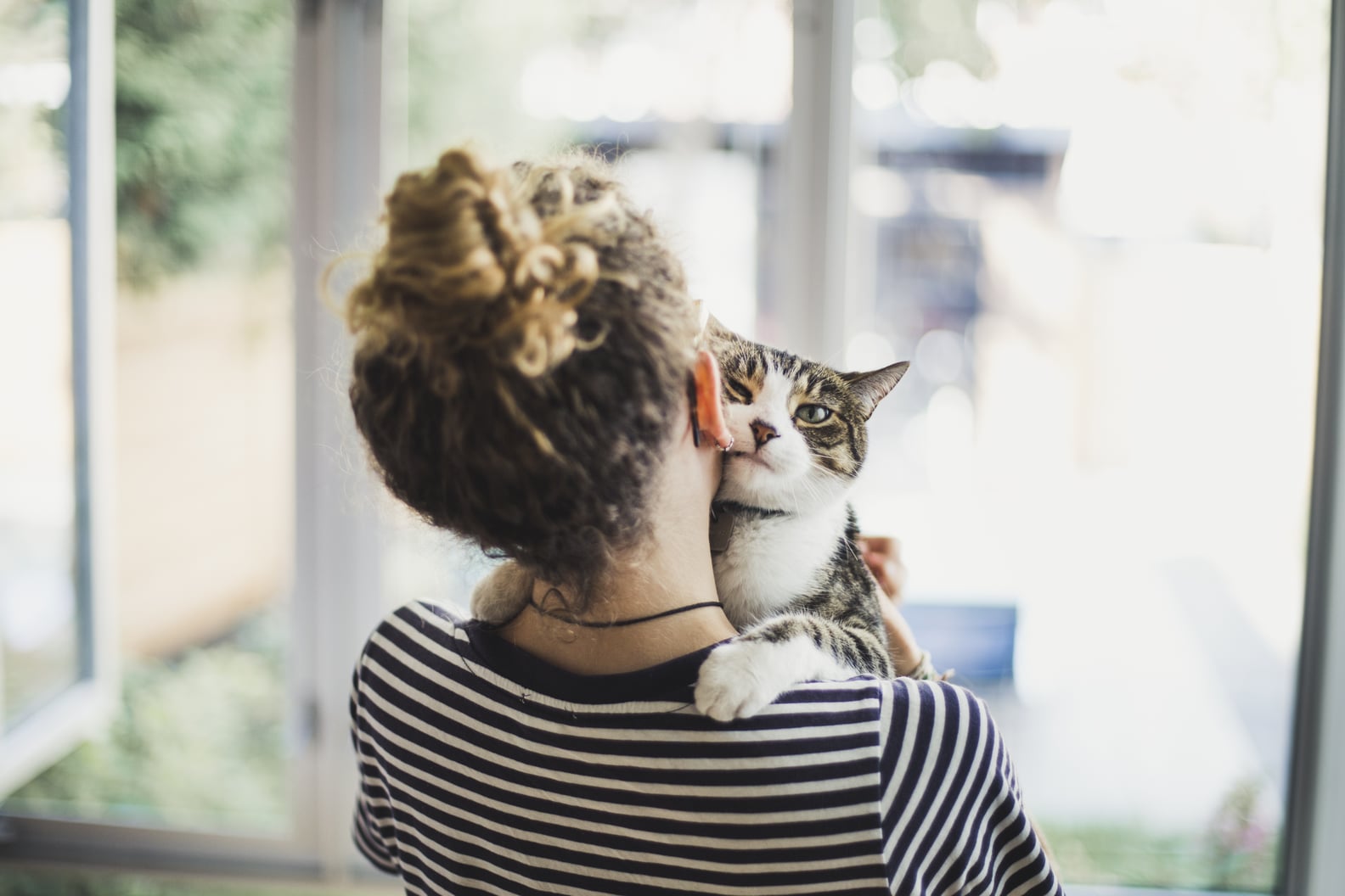 Why Does My Cat Chew on My Hair? POPSUGAR Pets