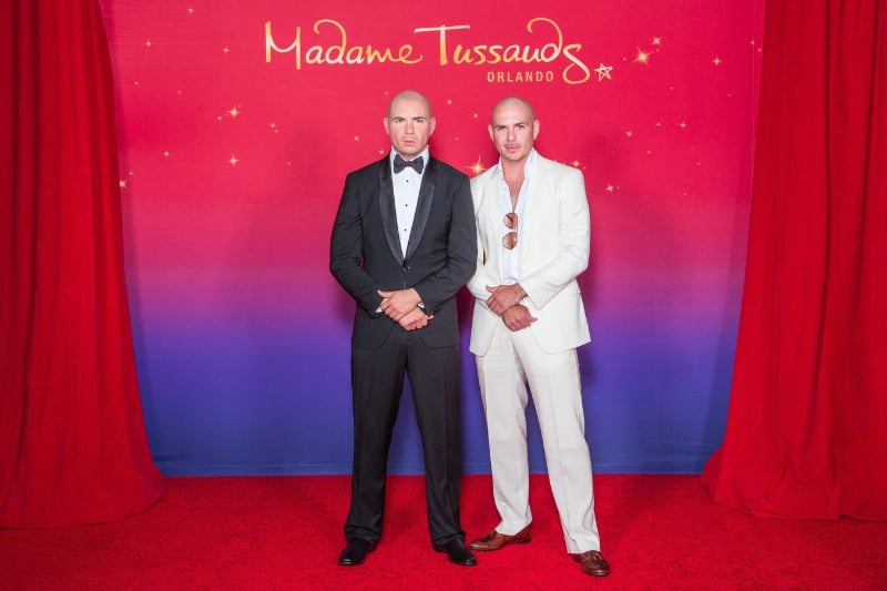 Pitbull Meets His Wax Figure