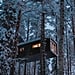 Treehotel in Sweden Photos