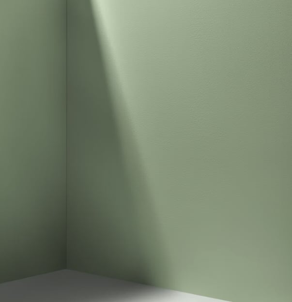 Moody Wall Paint