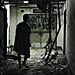 Is the Walking Dead Attraction Based on the TV Show?
