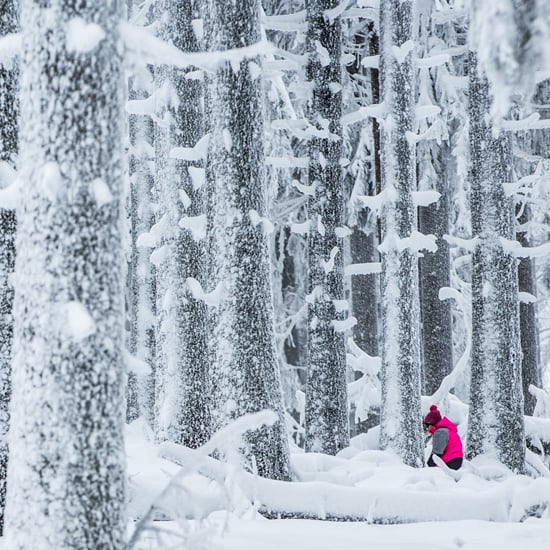 Best Snow Pictures of Winter 2015