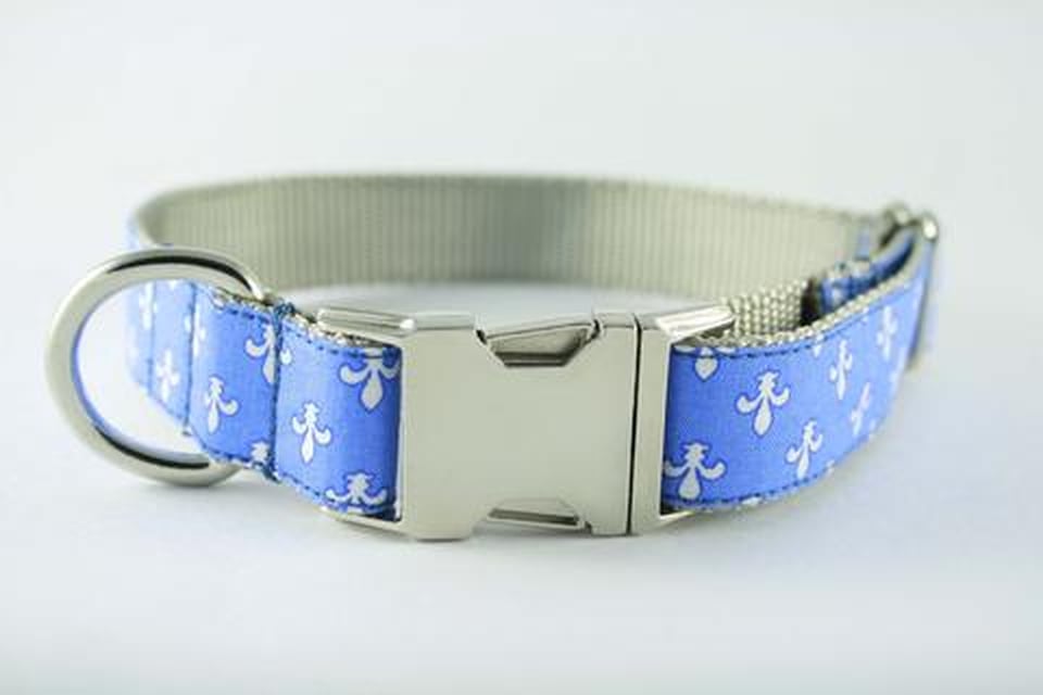 Chic Dog Collars POPSUGAR Pets