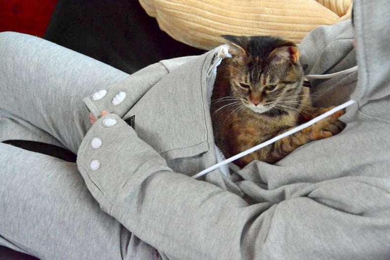 Hoodie with a pocket for your cat store