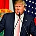 Worst Moments From Donald Trump's Campaign