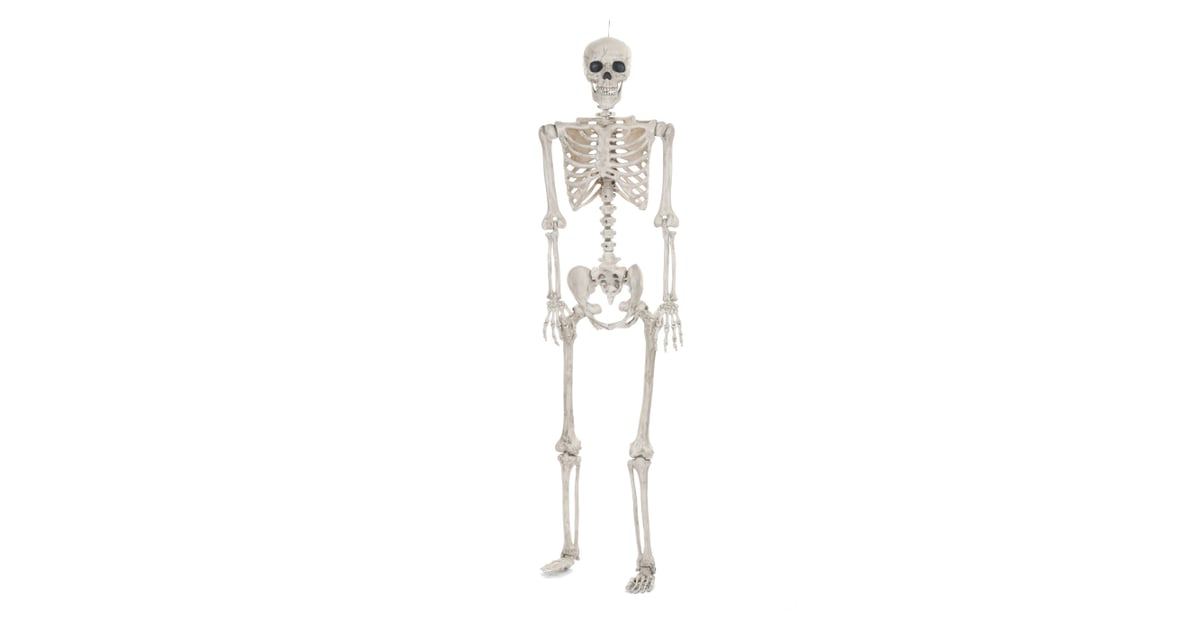 Halloween Lifesize Posable Skeleton Target Halloween Decorations 2018