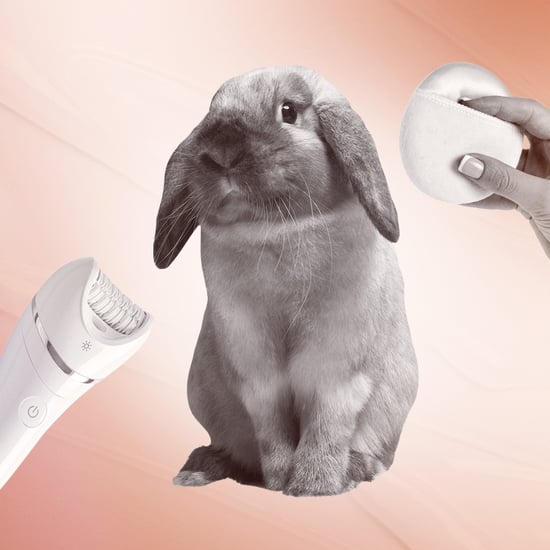 Yes, Animal Testing Still Happens in Beauty