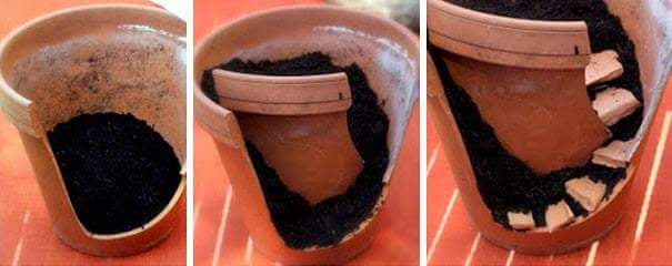 What starts as a broken flowerpot . . .