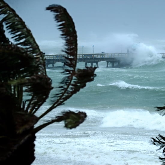 Hurricane Irma Photos and Video From Florida
