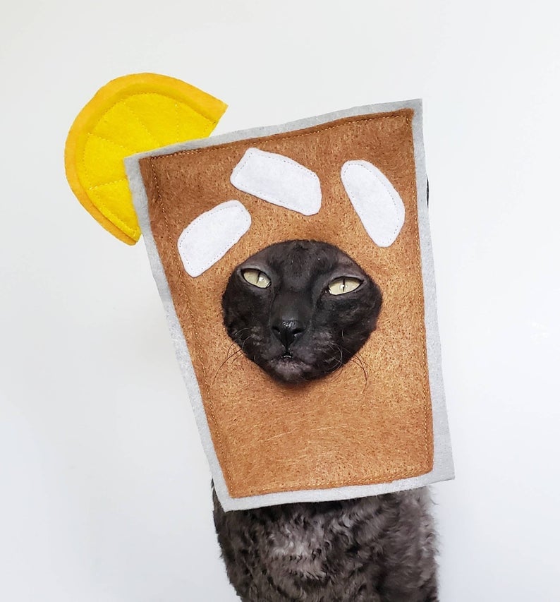 Iced Tea Cat Costume