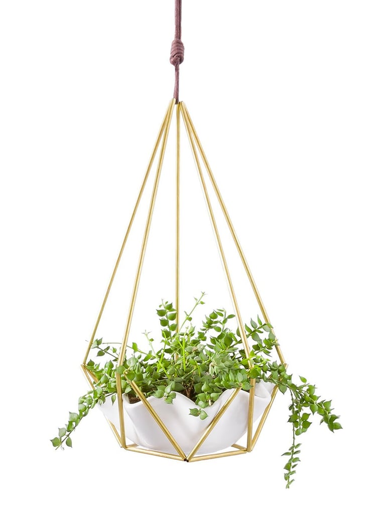 Hanging Wall Planter With Ceramic Plant Holder (21) MidCentury