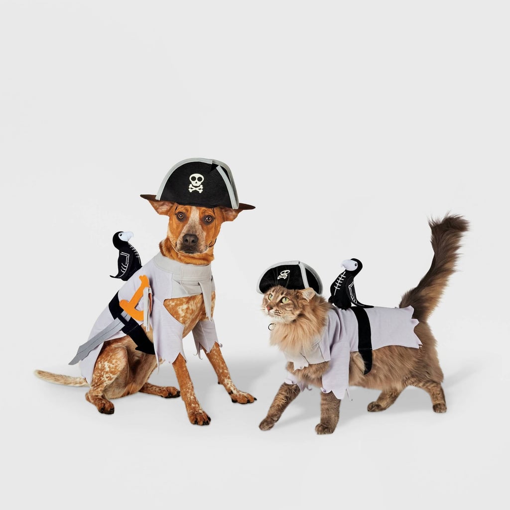 An Adorable Treasure: Hyde & EEK! Boutique Ghost Pirate LED Dog and Cat Costume