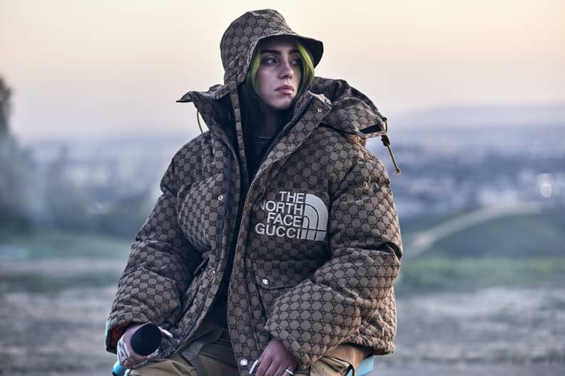 Gucci x The North Face Down Jacket Blue/Brown