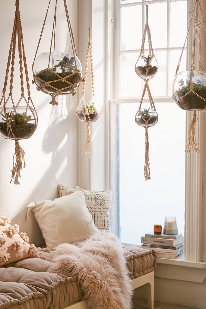 Hanging Macramé Terrarium