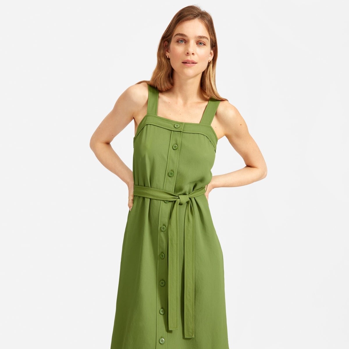 Everlane japanese goweave picnic dress clearance