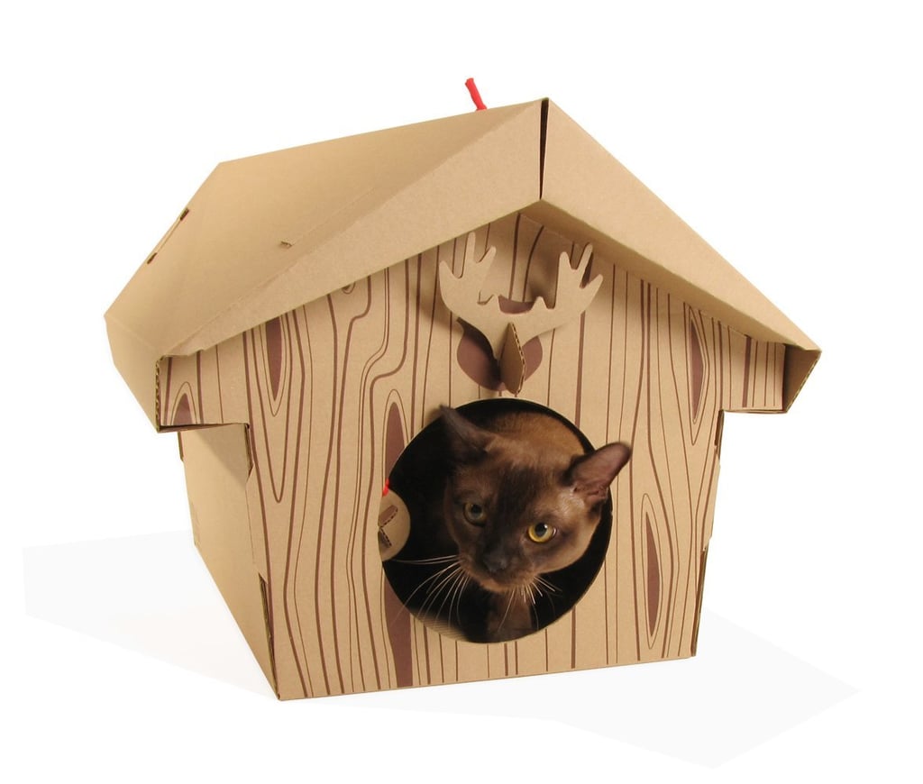Cardboard Canadian Cabin For Fluffy Critters