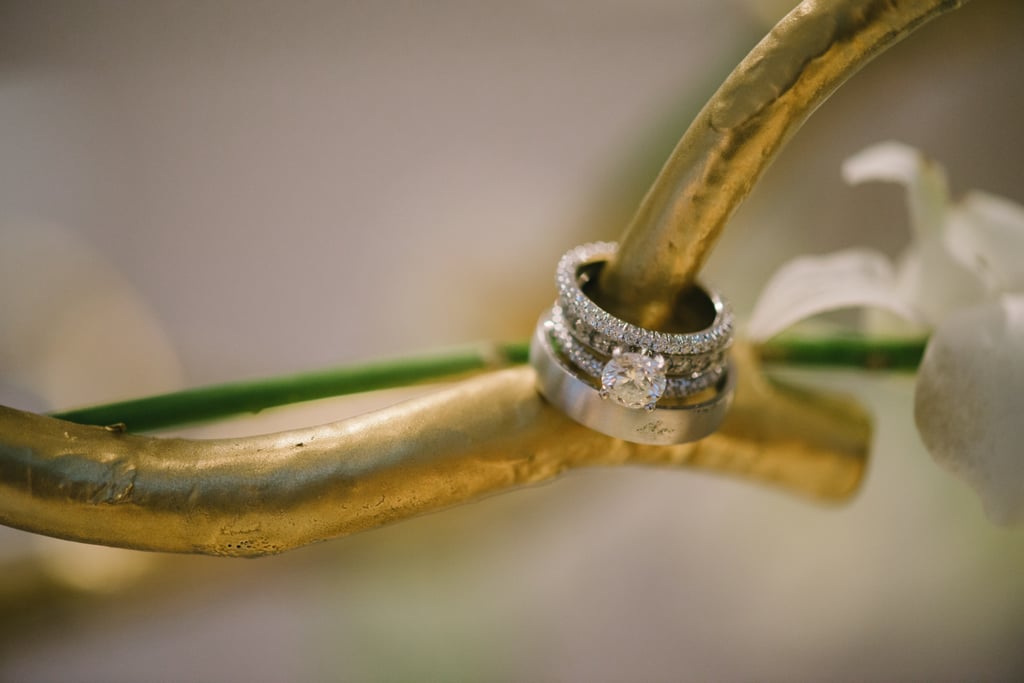 Source: Delbarr Moradi Photography
Source: Delbarr Moradi Photography