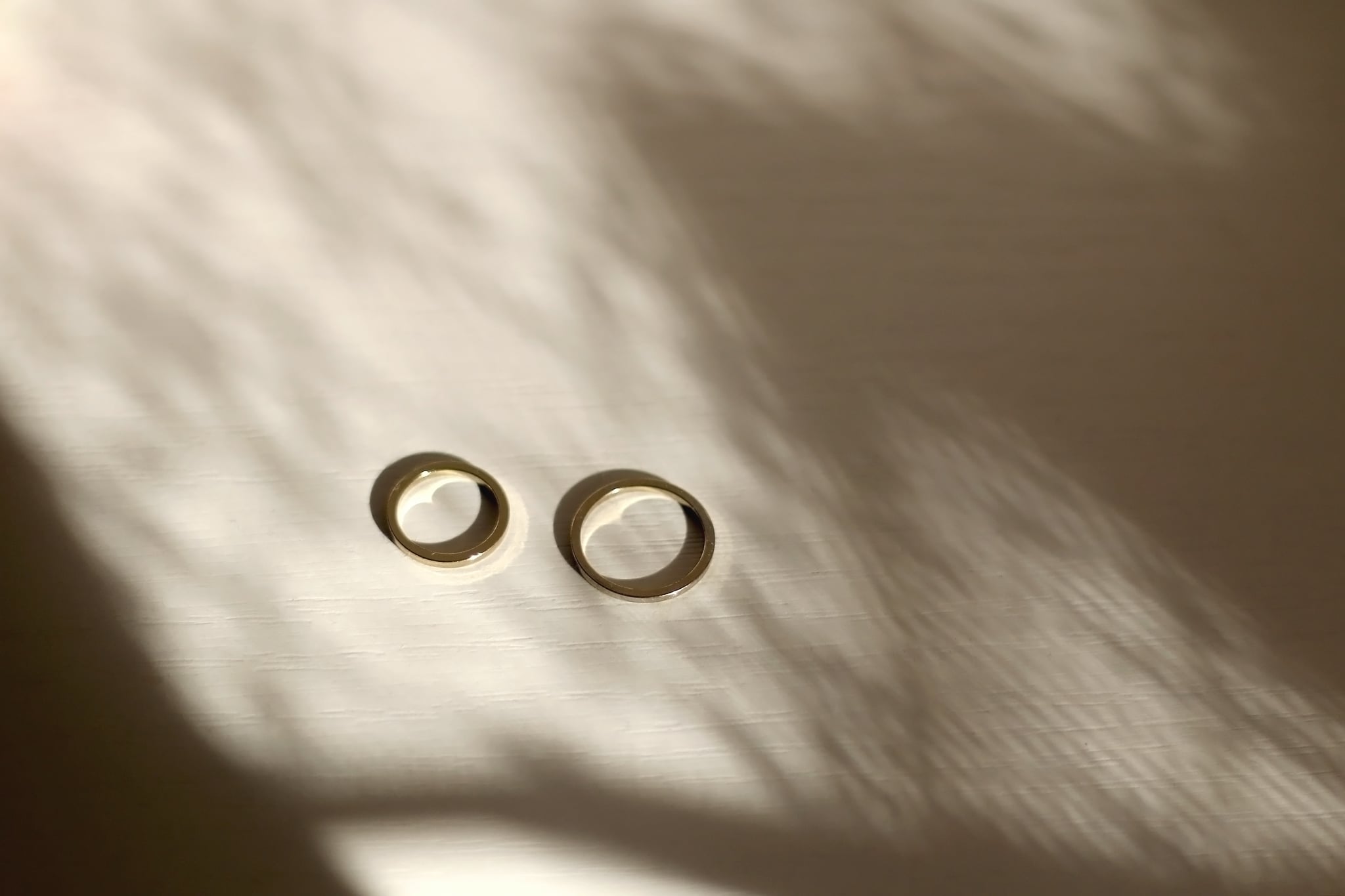 two wedding bands in natural light