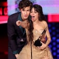 Camila Cabello Says "I Love U" to Shawn Mendes in a Doting Instagram Post