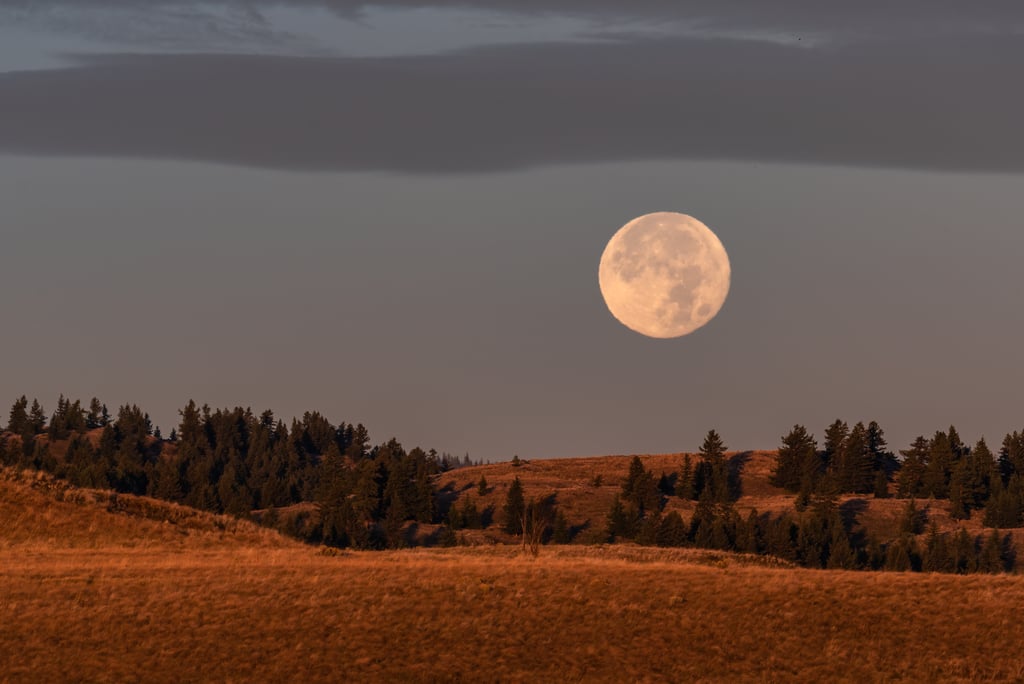 Harvest Moon