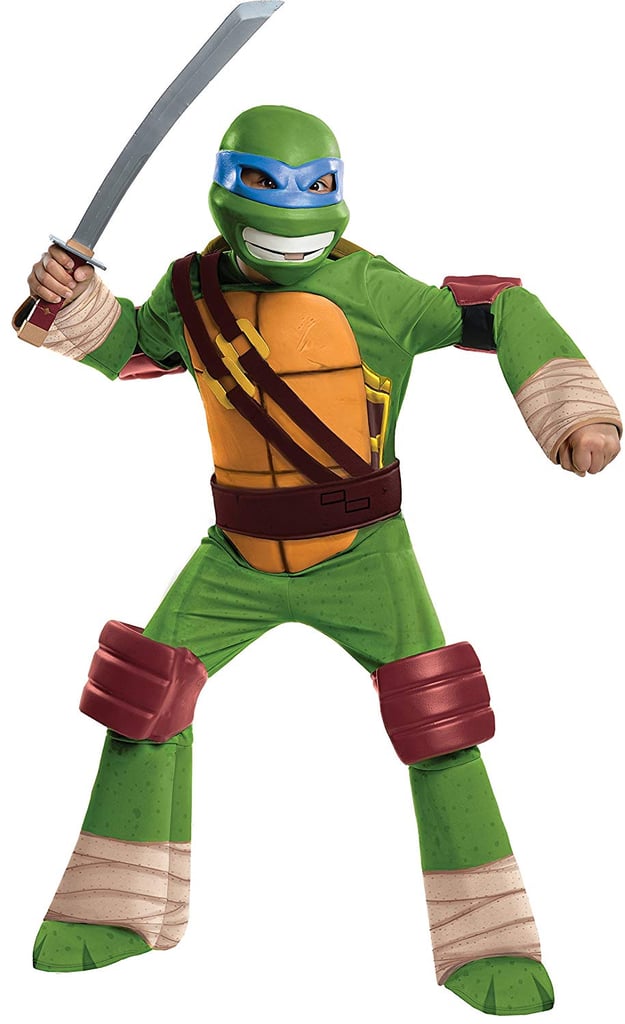 Leonardo of Teenage Mutant Ninja Turtles