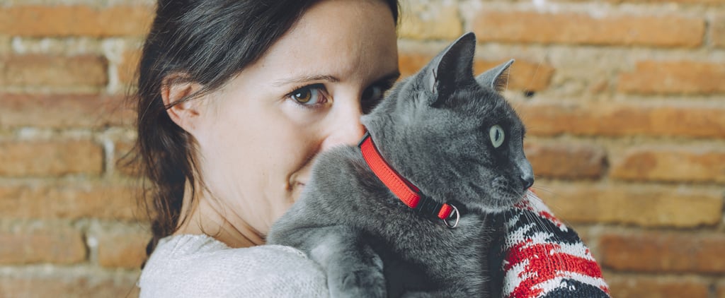 Does My Cat Need a Collar?