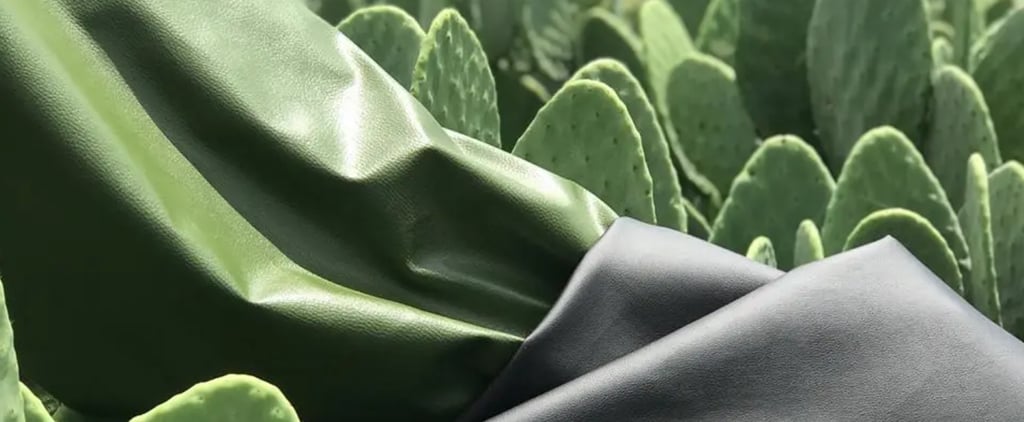The Future of Vegan Leather Is Plant-Based, and It's Made From Cactus, Pineapples, and Mushrooms