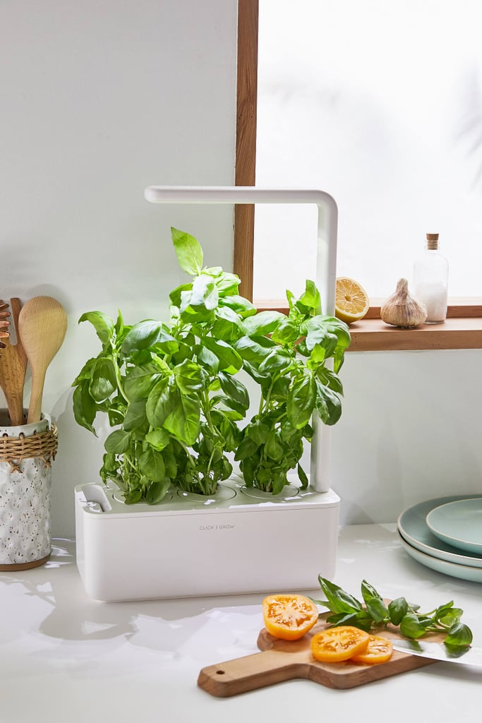 Best Gardening Gifts 2019 Popsugar Home Australia