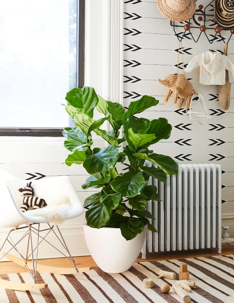 The Sill Dalton Floor Planter