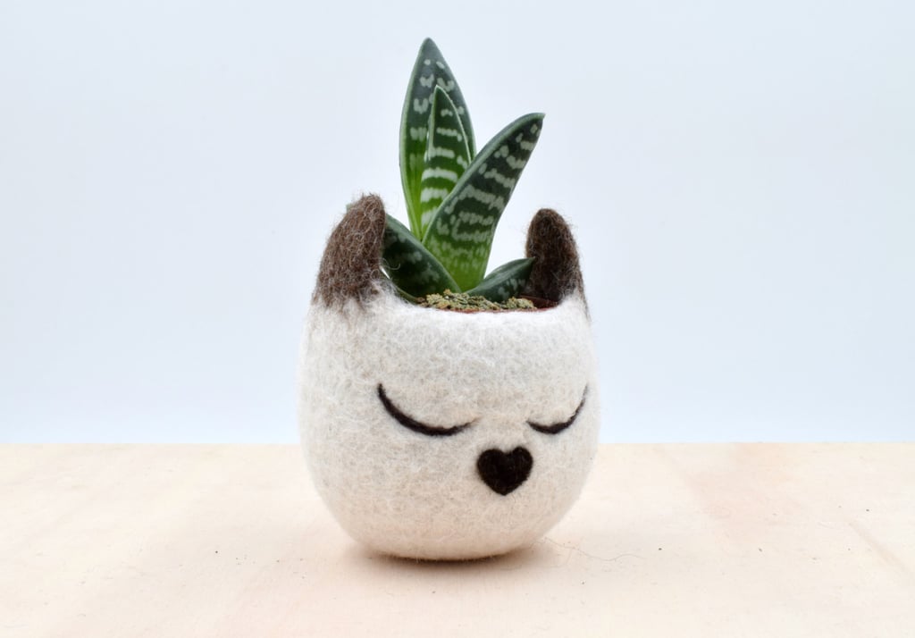 Cat Succulent Planter