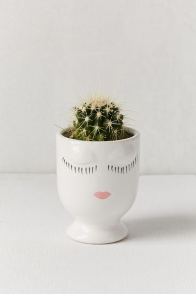 Celfie Planter