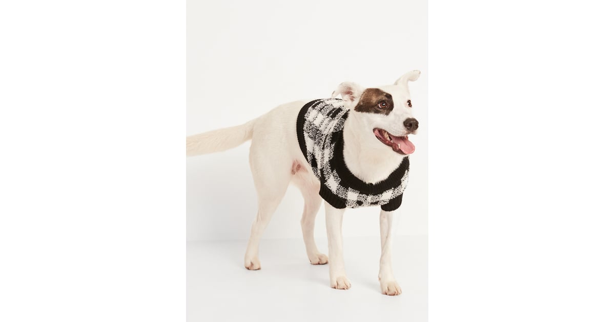 Cozy Sweater for Pets Old Navy Dog Clothes POPSUGAR Pets Photo 10