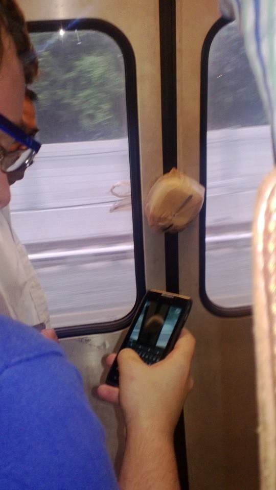 "This guy's lunch made it on the subway without him ... - 540 x 959 jpeg 46kB