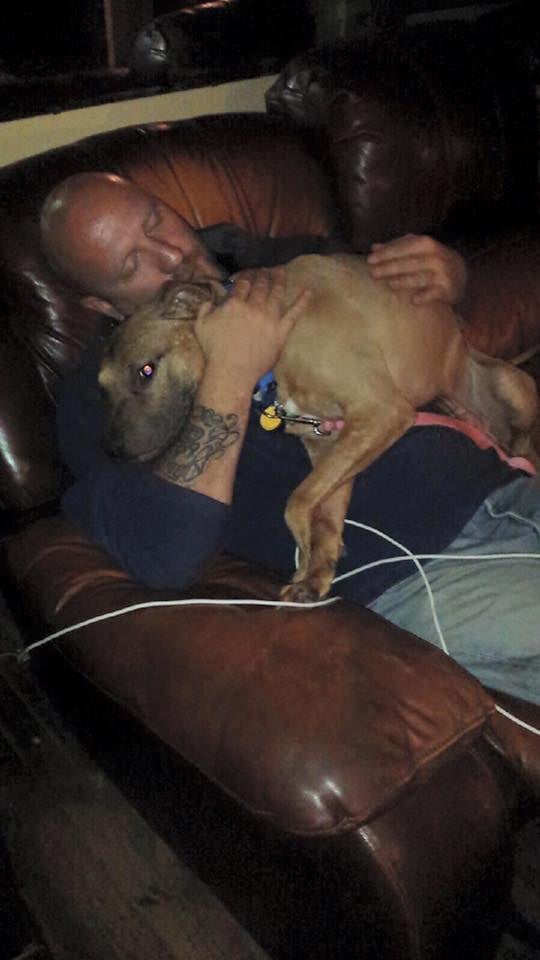 Pit Bull Rescued From Fighting Life