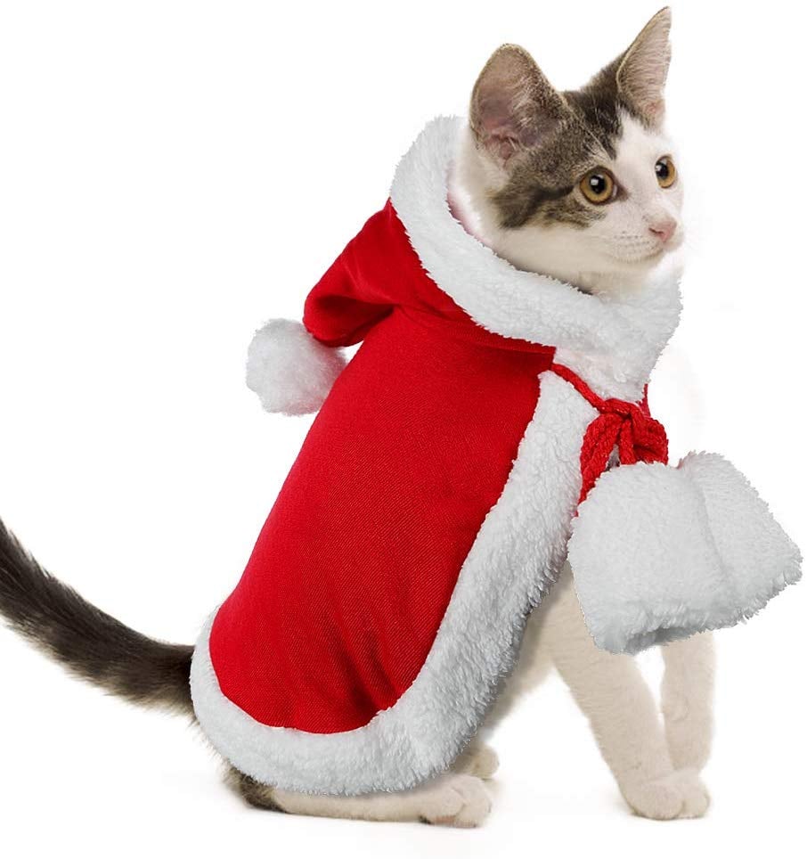 Santa Claus Cloak