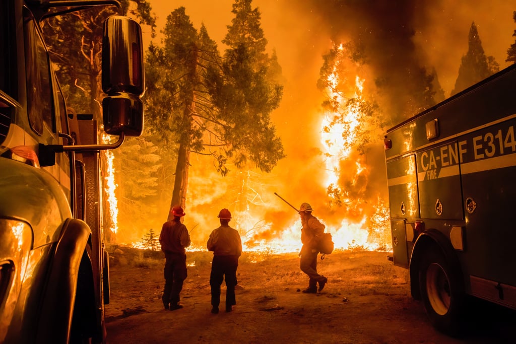 5 Ways to Help California Wildfire Victims in 2021