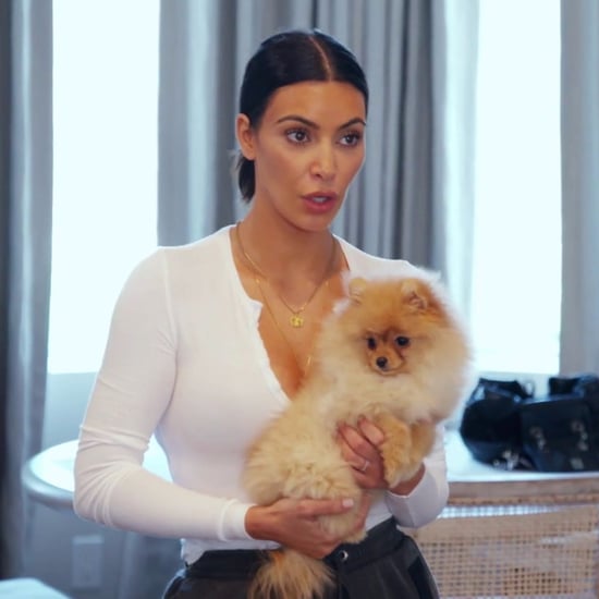 Kim and Kourtney Kardashian Fighting Over Puppies on KUWTK