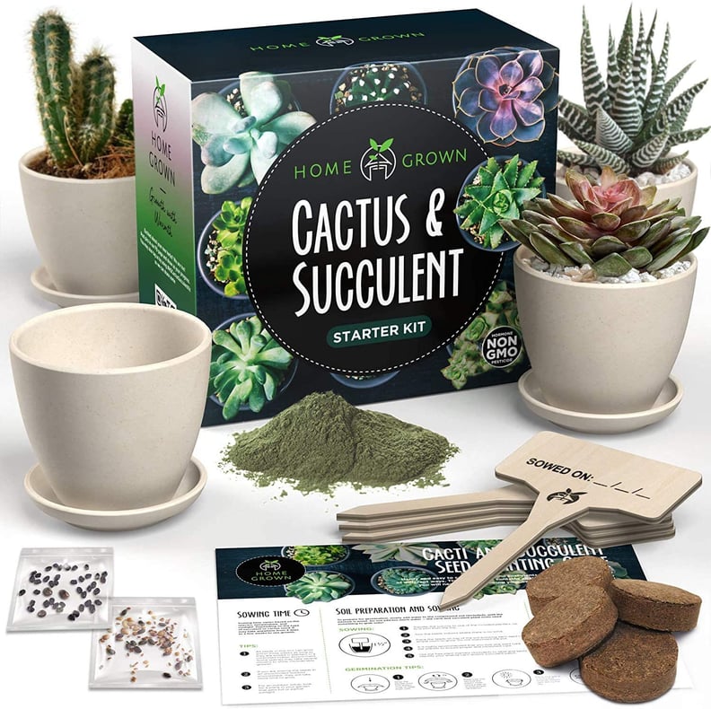 Succulent & Cactus Seed Kit