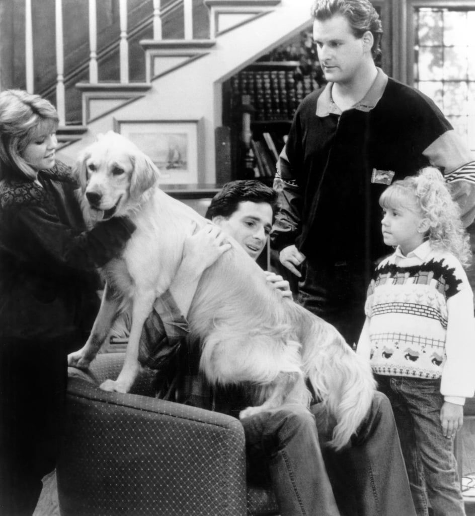Comet the Dog in Fuller House