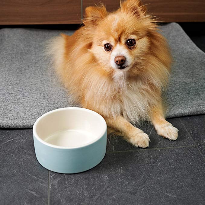 Magisso Happy Pet Project Naturally Cooling Ceramics Water Bowl